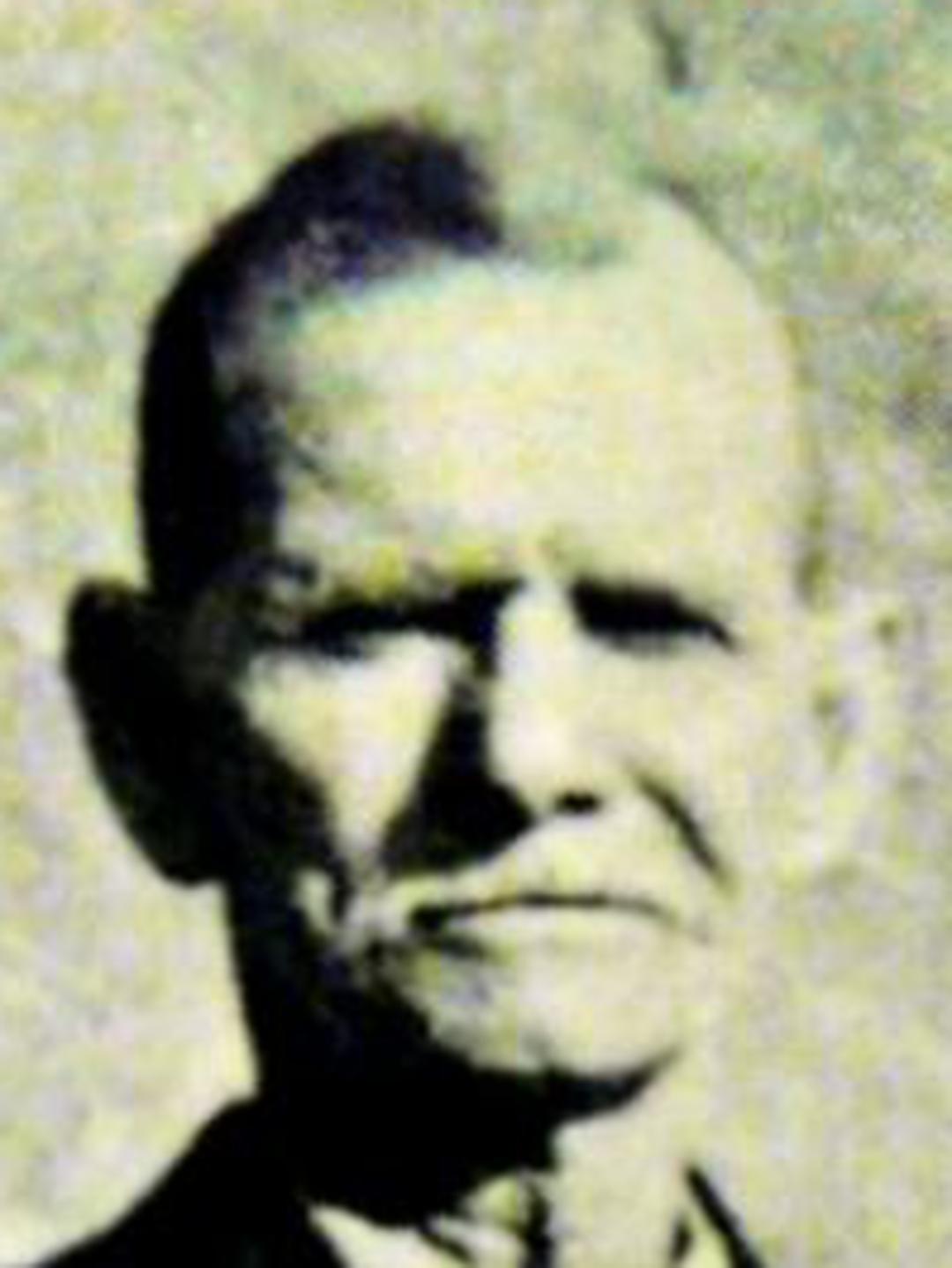 Hyrum Levi Perry (1849 - 1927) Profile